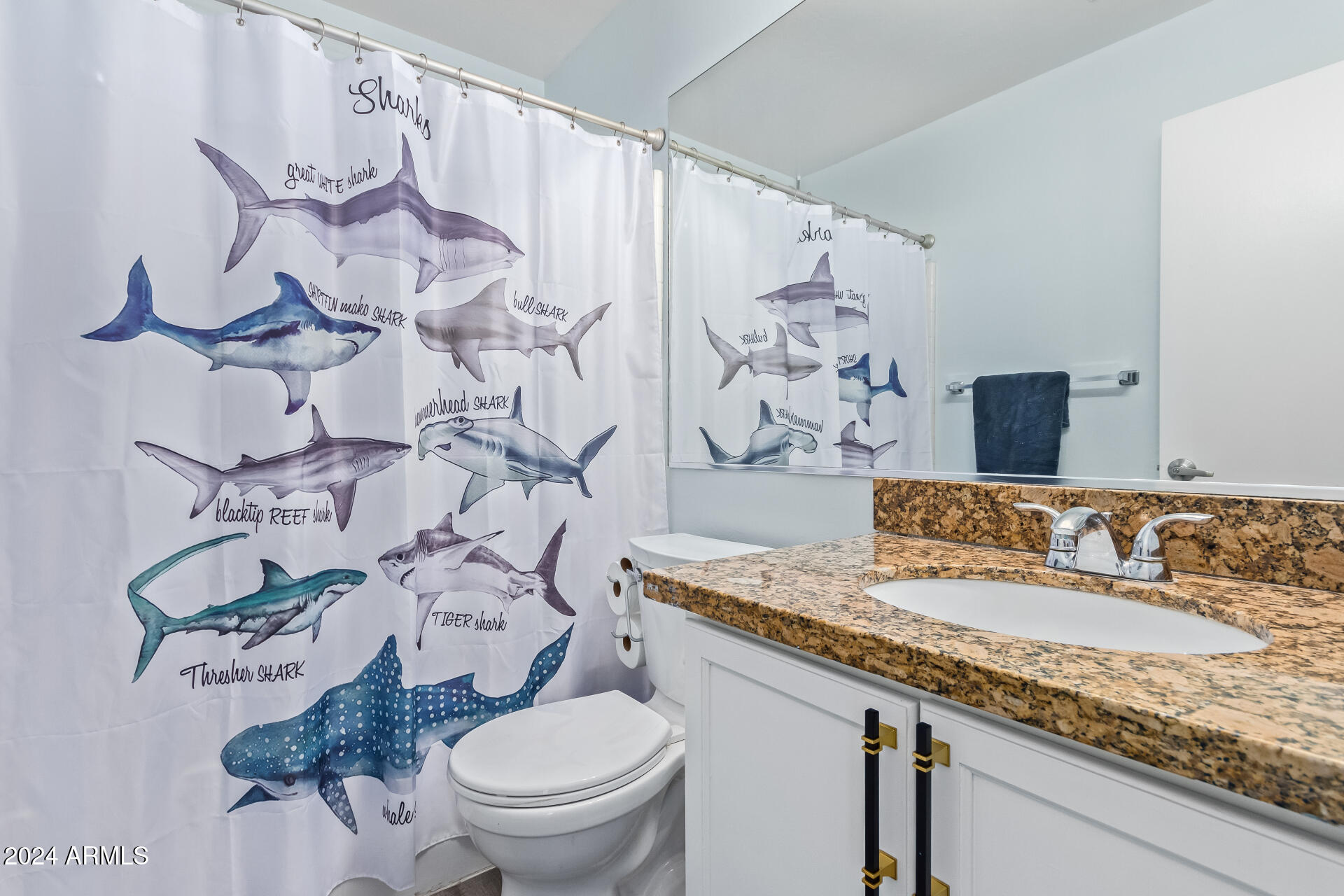 2028 East Devon Road Gilbert, AZ 85296 - Photo 32 of 59 Bathroom 2