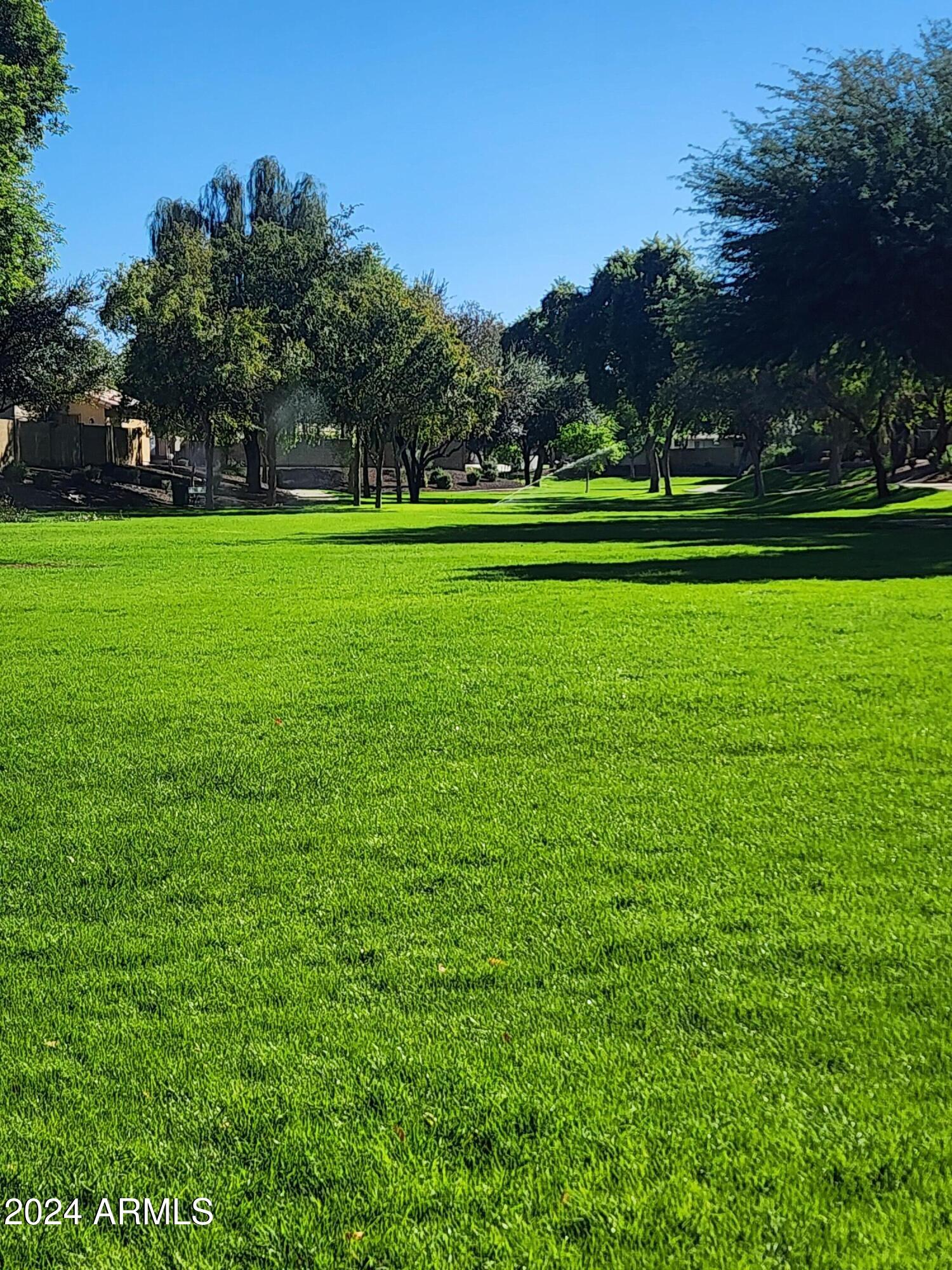 2028 East Devon Road Gilbert, AZ 85296 - Photo 48 of 59 Community Park