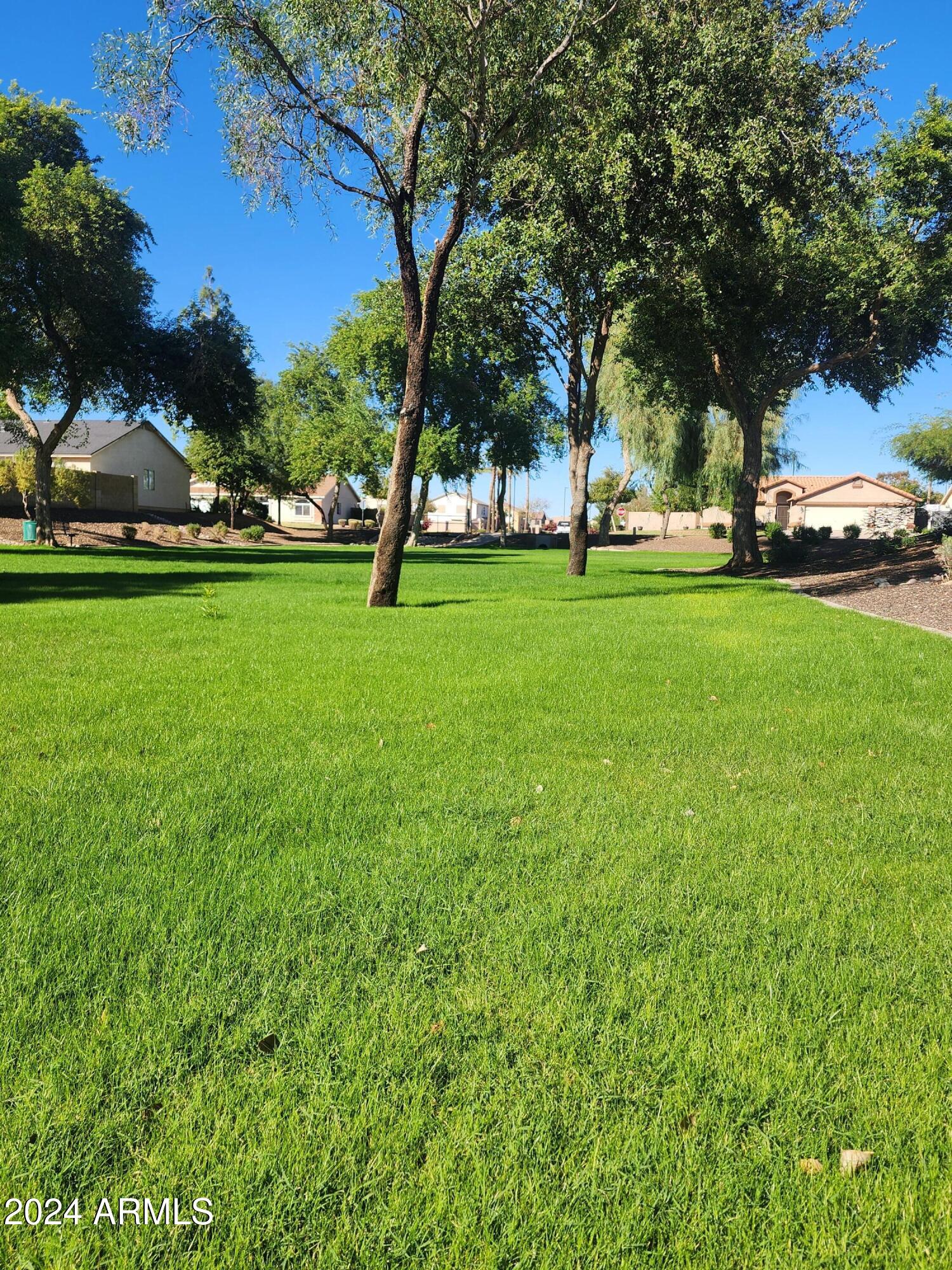 2028 East Devon Road Gilbert, AZ 85296 - Photo 49 of 59 Community Park
