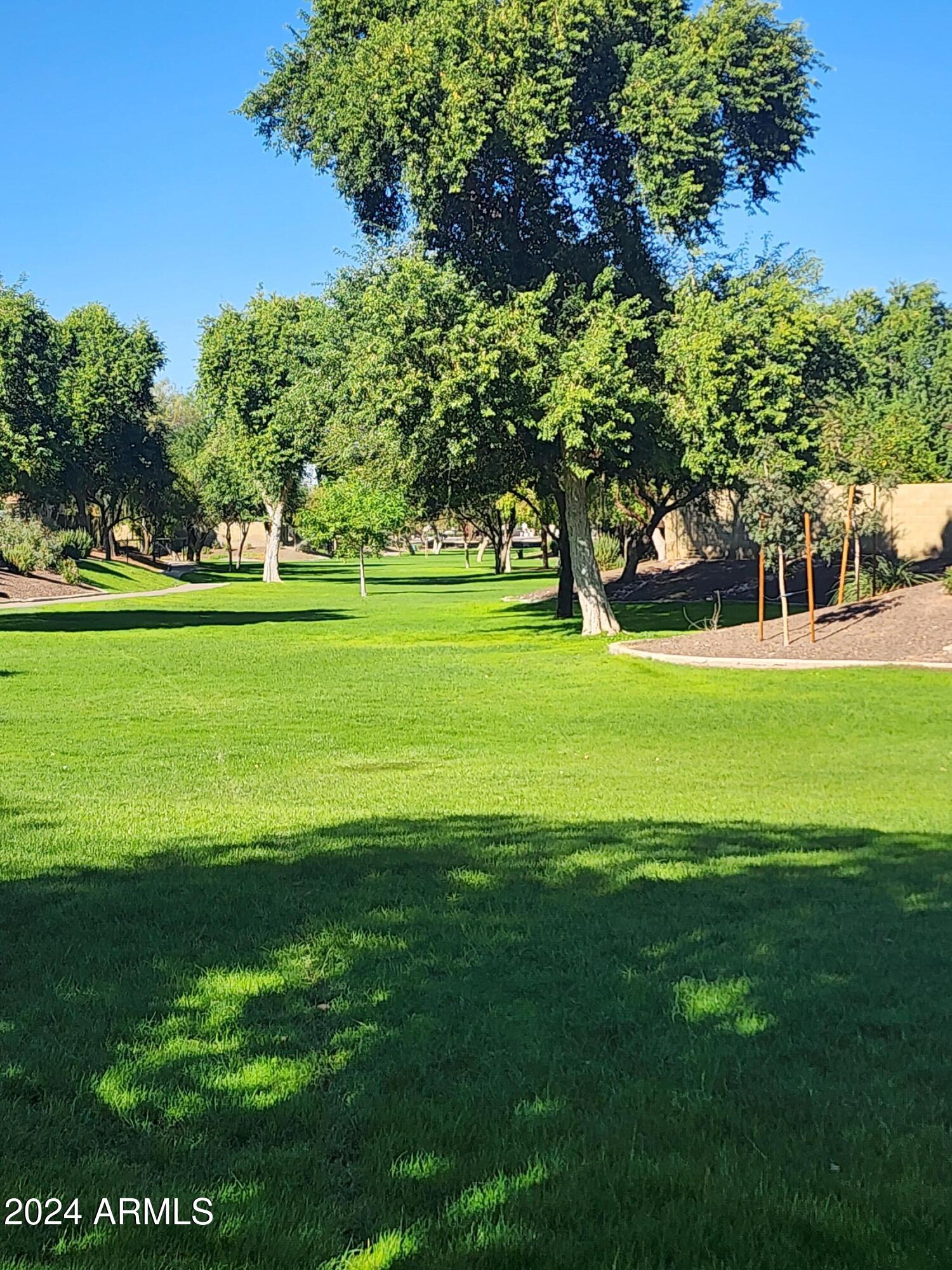 2028 East Devon Road Gilbert, AZ 85296 - Photo 54 of 59 Community Park