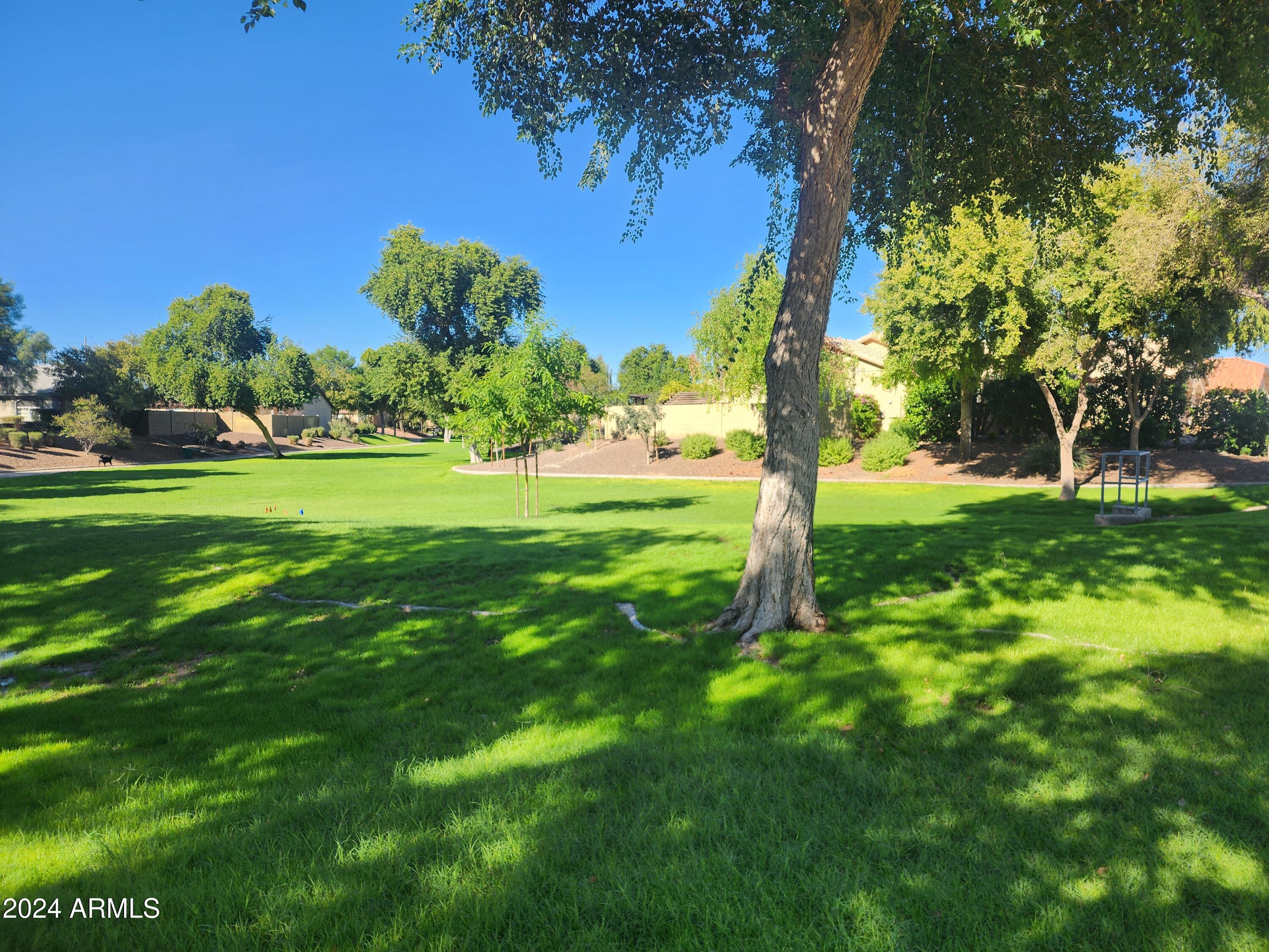 2028 East Devon Road Gilbert, AZ 85296 - Photo 55 of 59 Community Park