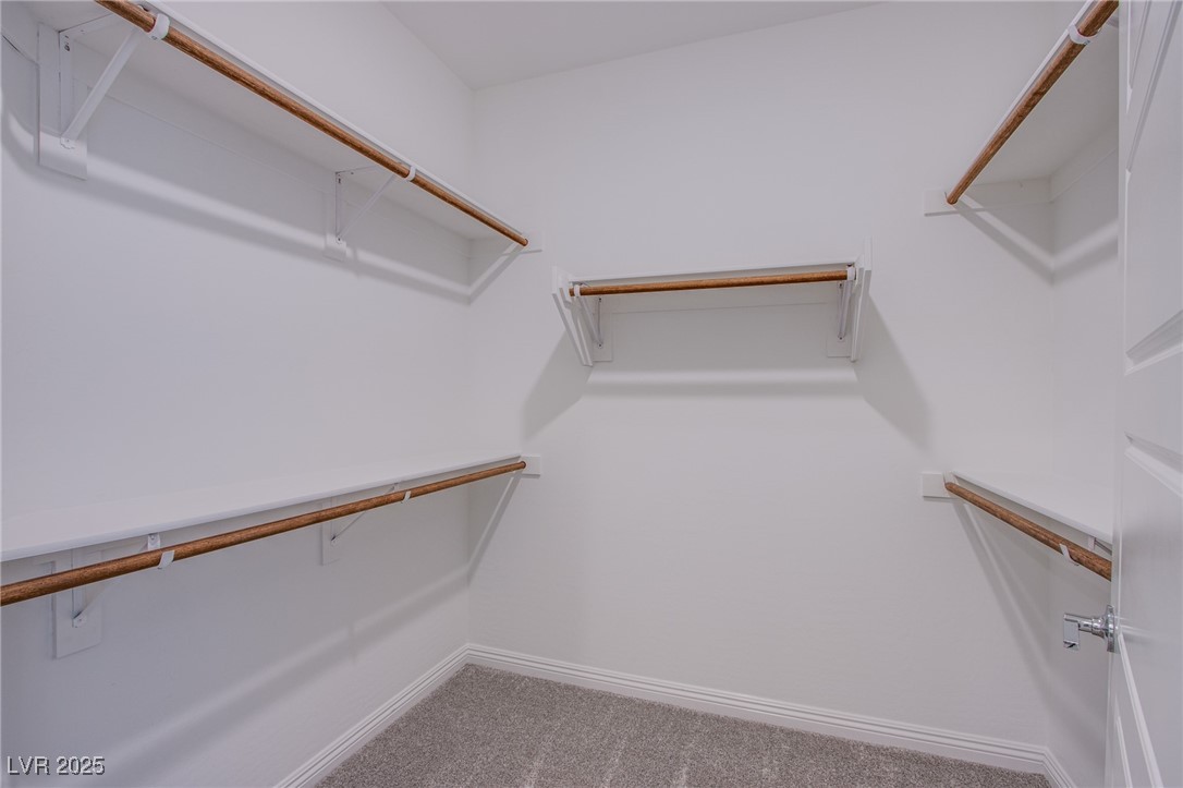 2555 Hampton Road, Unit 4109 Henderson, NV 89052 - Photo 22 of 38 Walk in closet with carpet flooring