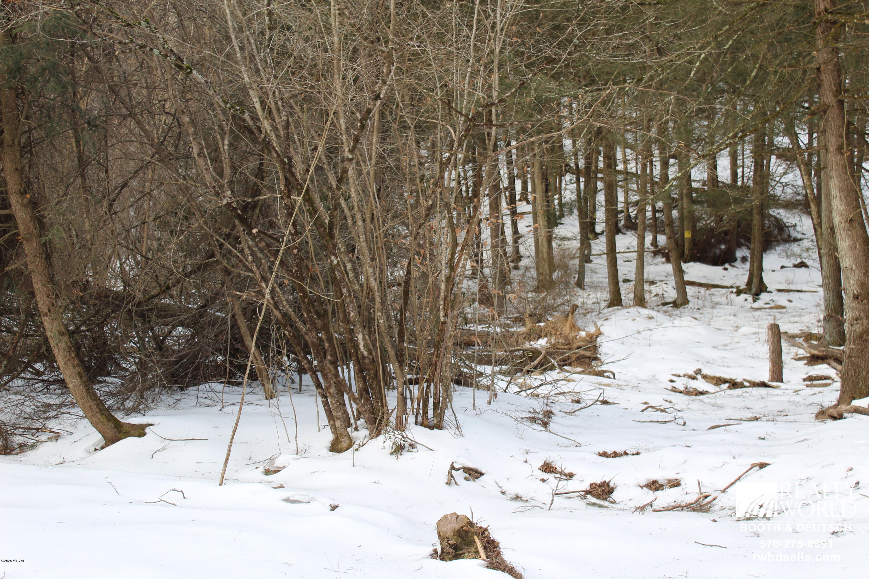 0 Salem Schoolhouse Road Unityville, PA 17774 - Photo 1 of 8 Gallery Image 1