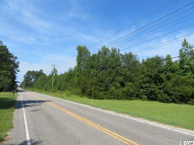 West John Paul Jones Road Effingham, SC 29541 - Photo 1 of 6
