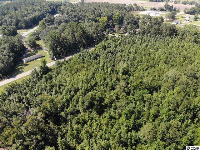West John Paul Jones Road Effingham, SC 29541 - Photo 2 of 6
