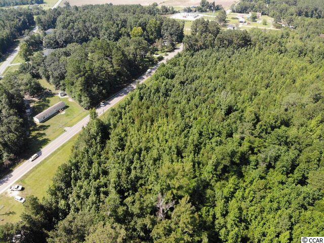 West John Paul Jones Road Effingham, SC 29541 - Photo 3 of 6