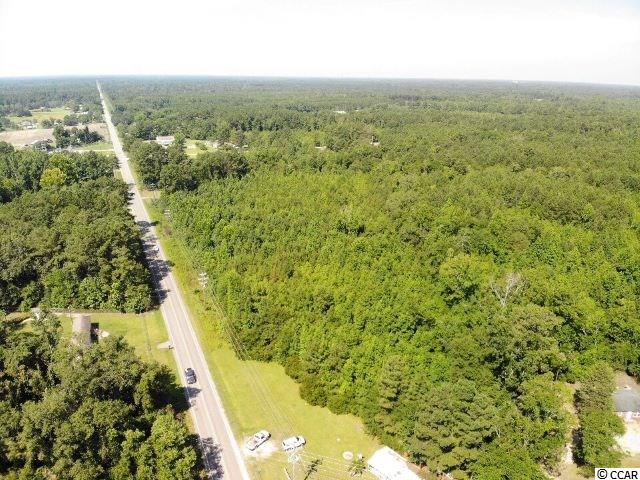 West John Paul Jones Road Effingham, SC 29541 - Photo 5 of 6