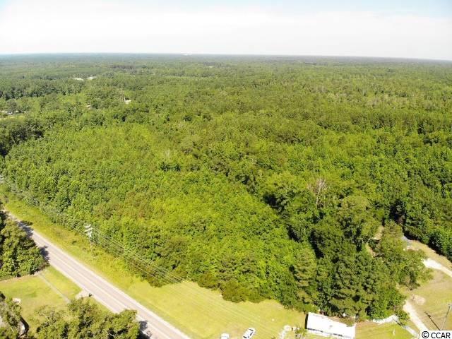 West John Paul Jones Road Effingham, SC 29541 - Photo 6 of 6