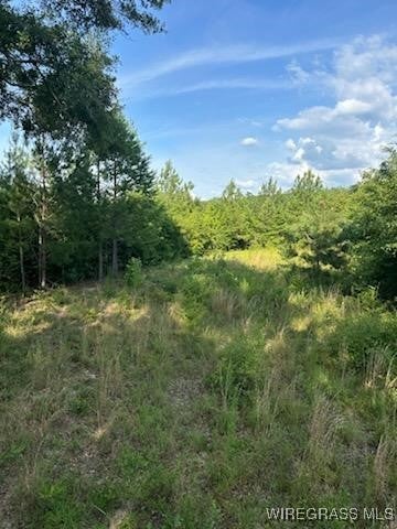 0 County Road 70 Road Ariton, AL 36311 - Photo 9 of 23 Gallery Image 9