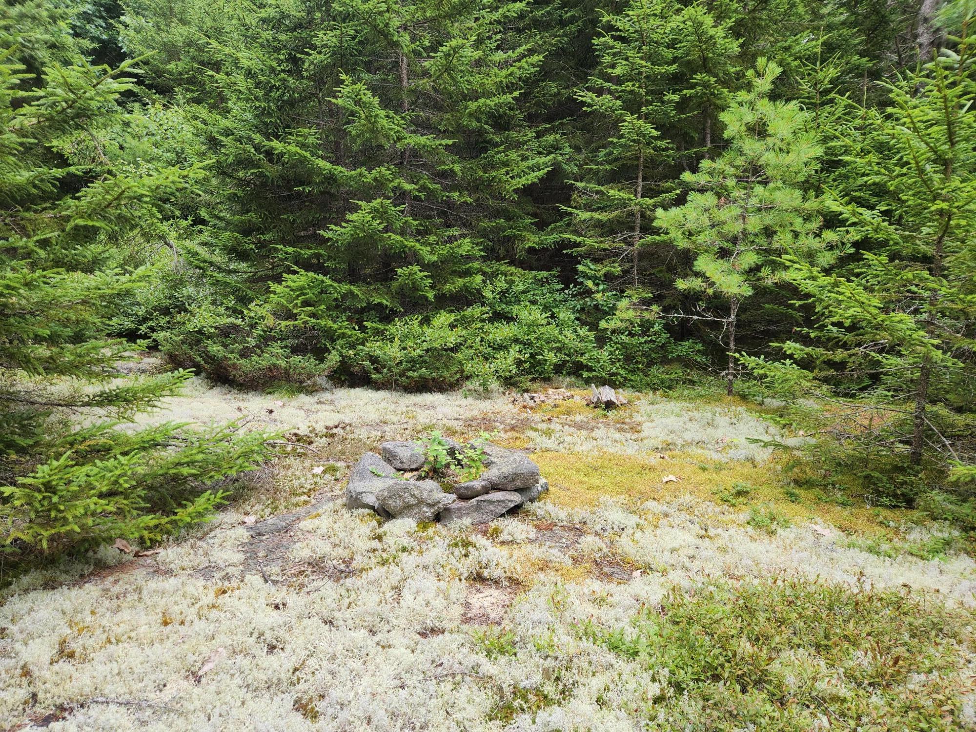 2851 Friendship Road Waldoboro, ME 04572 - Photo 12 of 16 20240730_154828