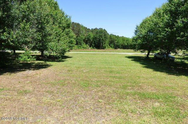 202 Bob Kennedy Road Beulaville, NC 28518 - Photo 18 of 18 P1070212