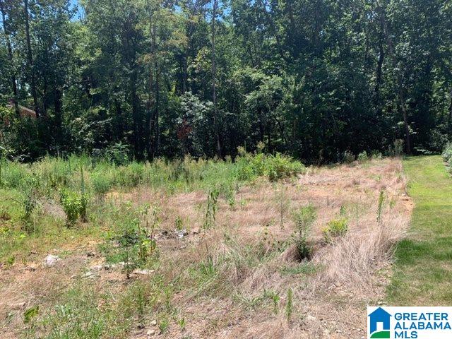 2516 Tyler Road, Unit 1B Birmingham, AL 35226 - Photo 1 of 1 Gallery Image 1