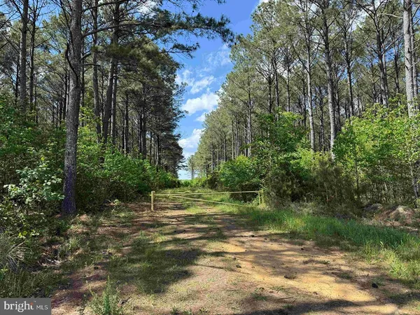 $749,194 | Mill Road, Emporia, VA 23847