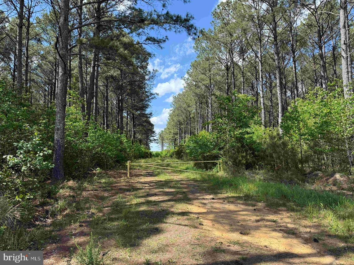 Mill Road Emporia, VA 23847 - Photo 1 of 14