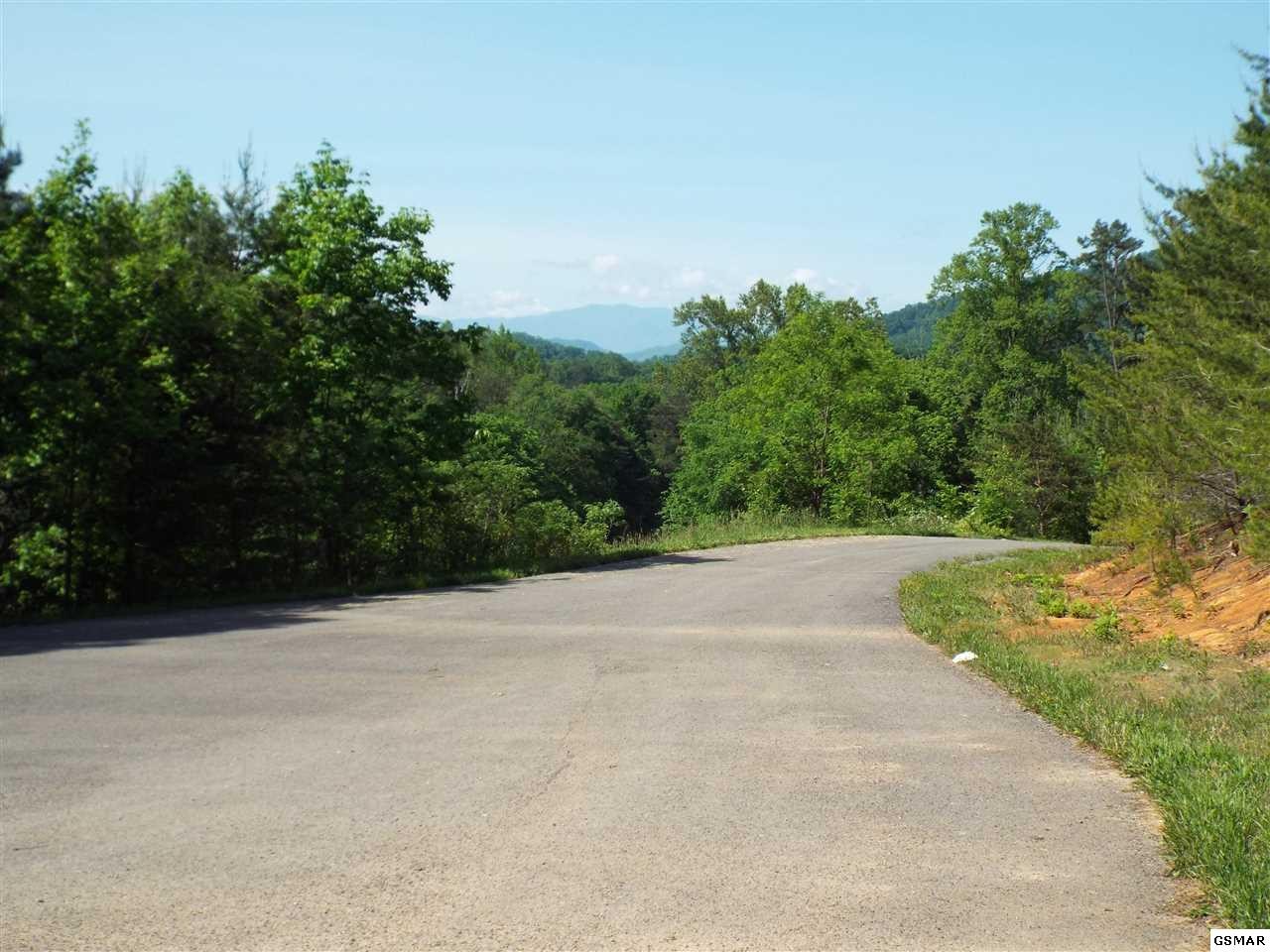 14 McGaha Chapel Road Newport, TN 37821 - Photo 4 of 15