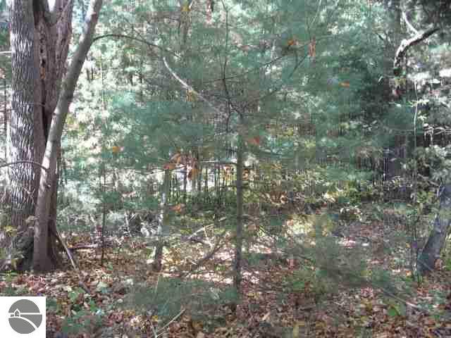 10606 Wildwood Road Interlochen, MI 49643 - Photo 12 of 25 1720999-11.JPG