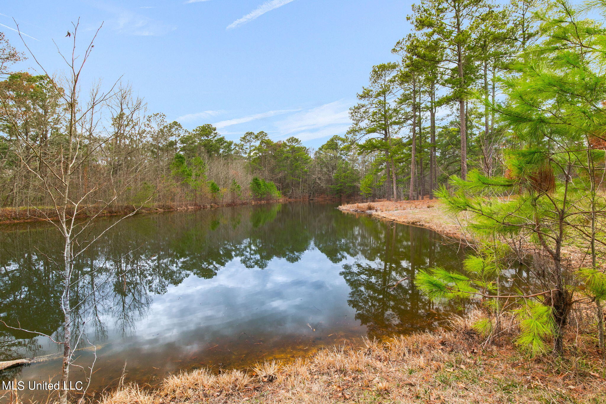 12449 Springridge Road Terry, MS 39170 - Photo 60 of 87 74-web-or-mls-12449 Springridge-74