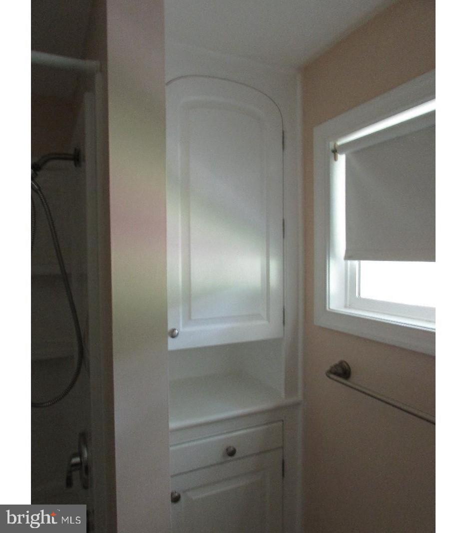 205 Main Street Spring Mount, PA 19473 - Photo 13 of 25 Hall Bath Storage - Great Extra Storage
