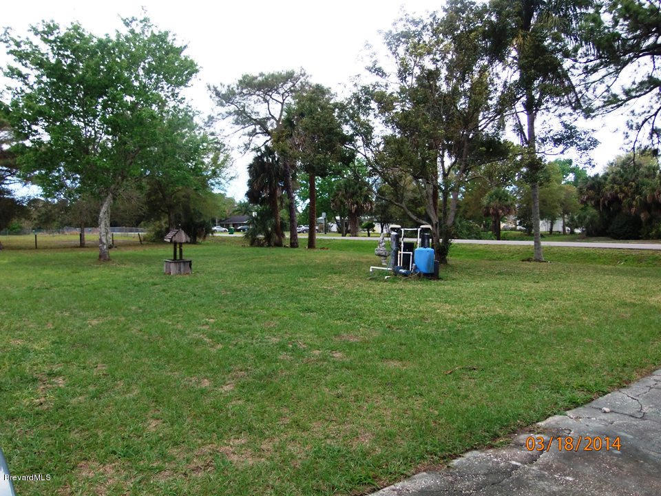 3915 Grant Line Road Mims, FL 32754 - Photo 3 of 17 Front Yard v1