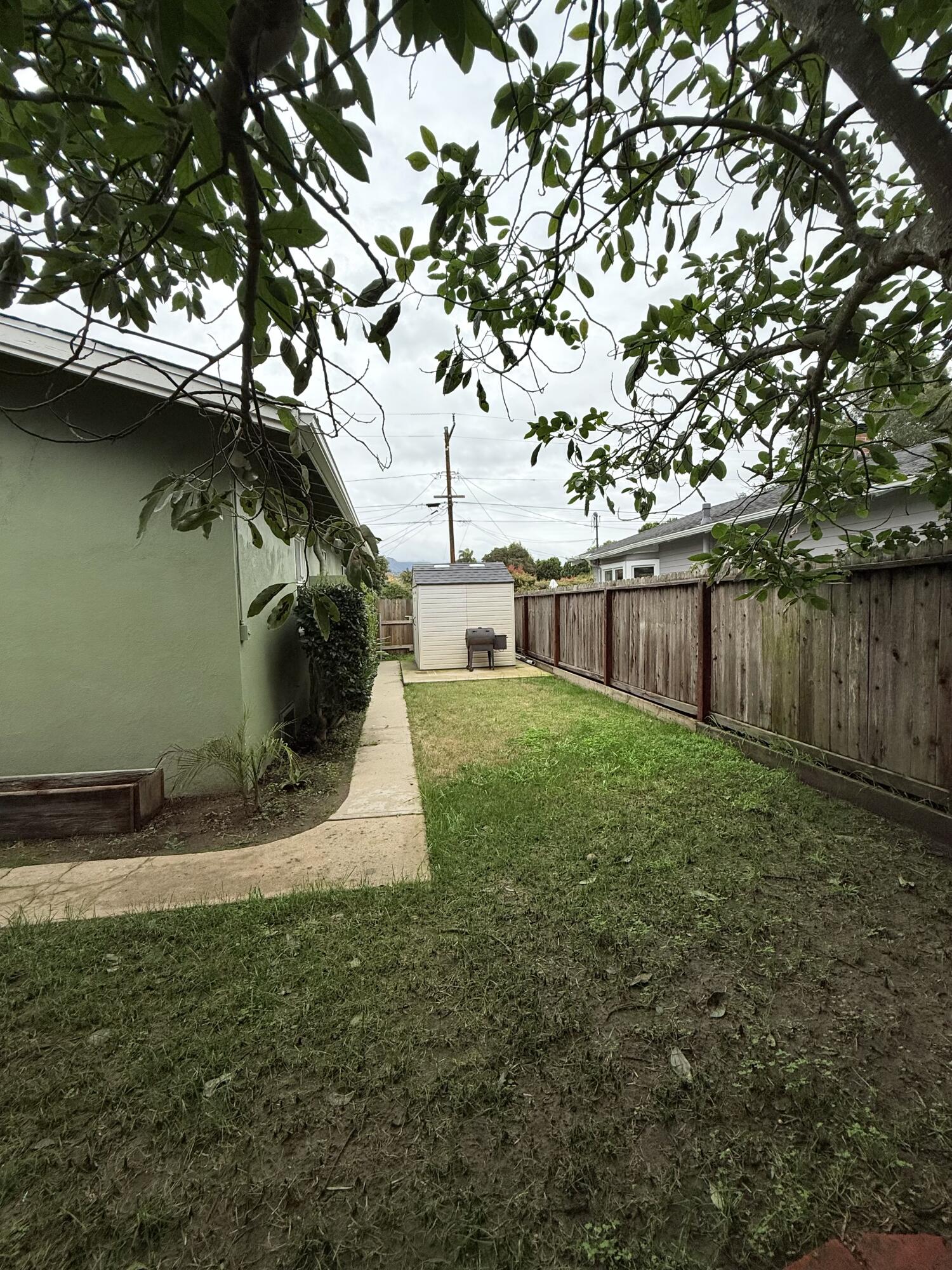 1411 Gillespie Street Santa Barbara, CA 93101 - Photo 24 of 26 a view of a yard with a tree