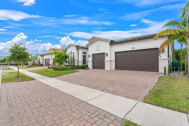 a view of a backyard with plants and palm trees
