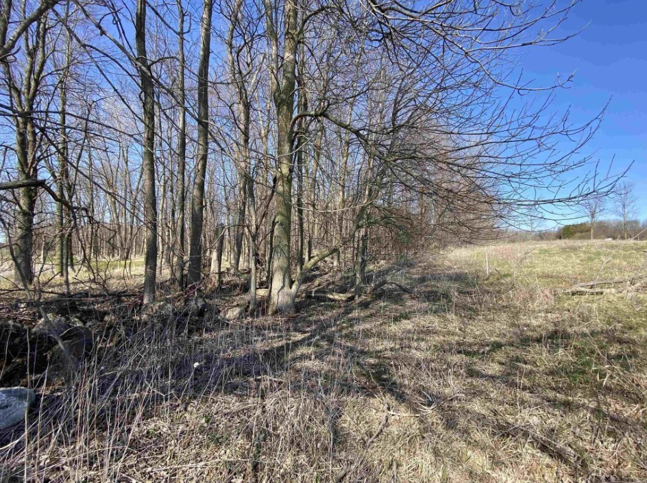 Lot 14 Sleepy Hollow Road Kewaunee, WI 54216 - Photo 5 of 16