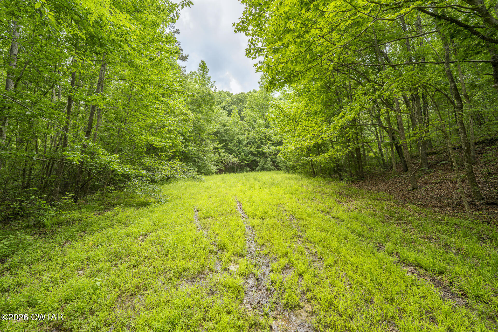 1380 Harrison Road Pinson, TN 38366 - Photo 39 of 46 1380 Harrison Rd Pinson TN-67