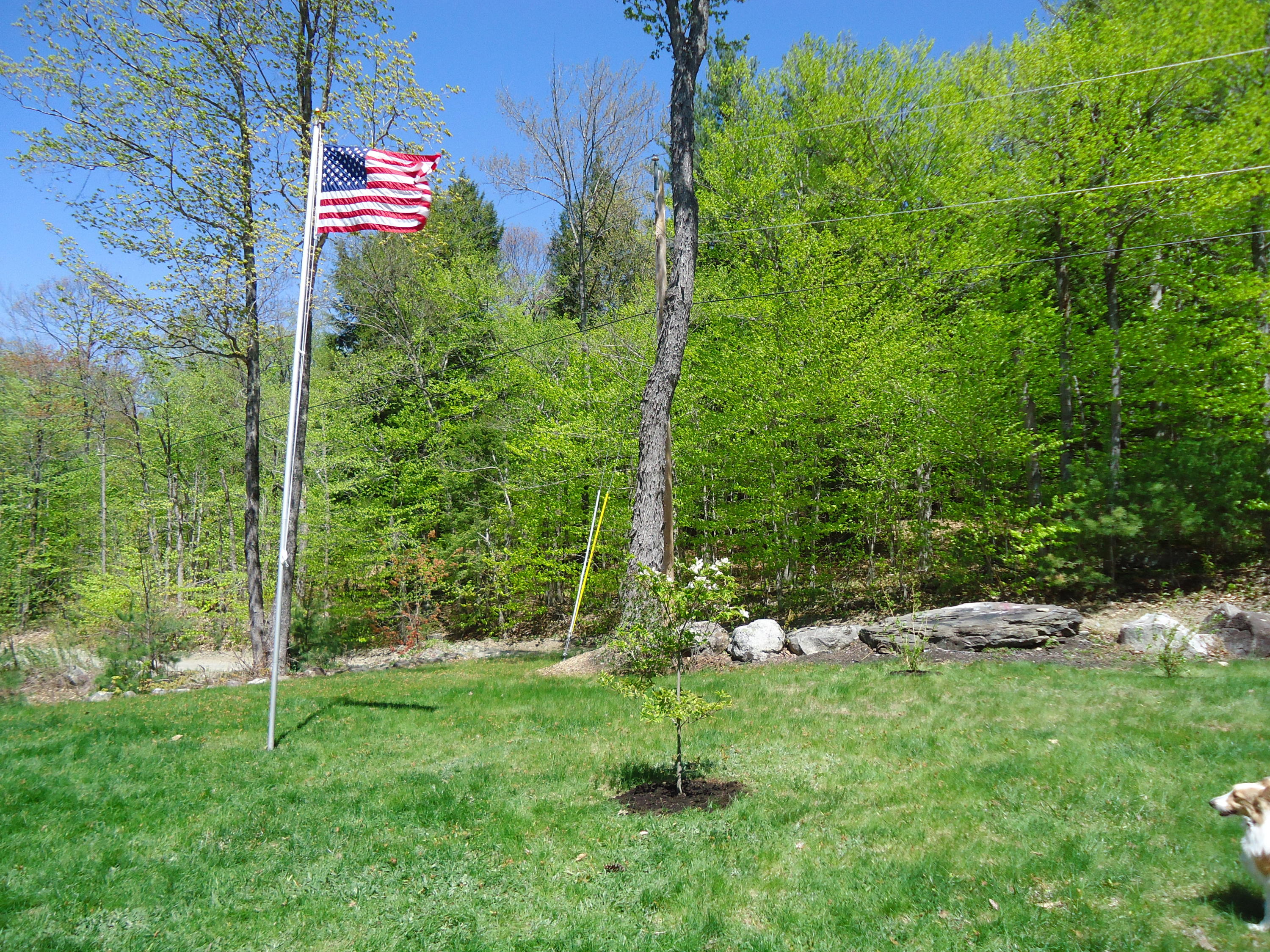 50 Brown Road Mercer, ME 04957 - Photo 33 of 33 DSC03659