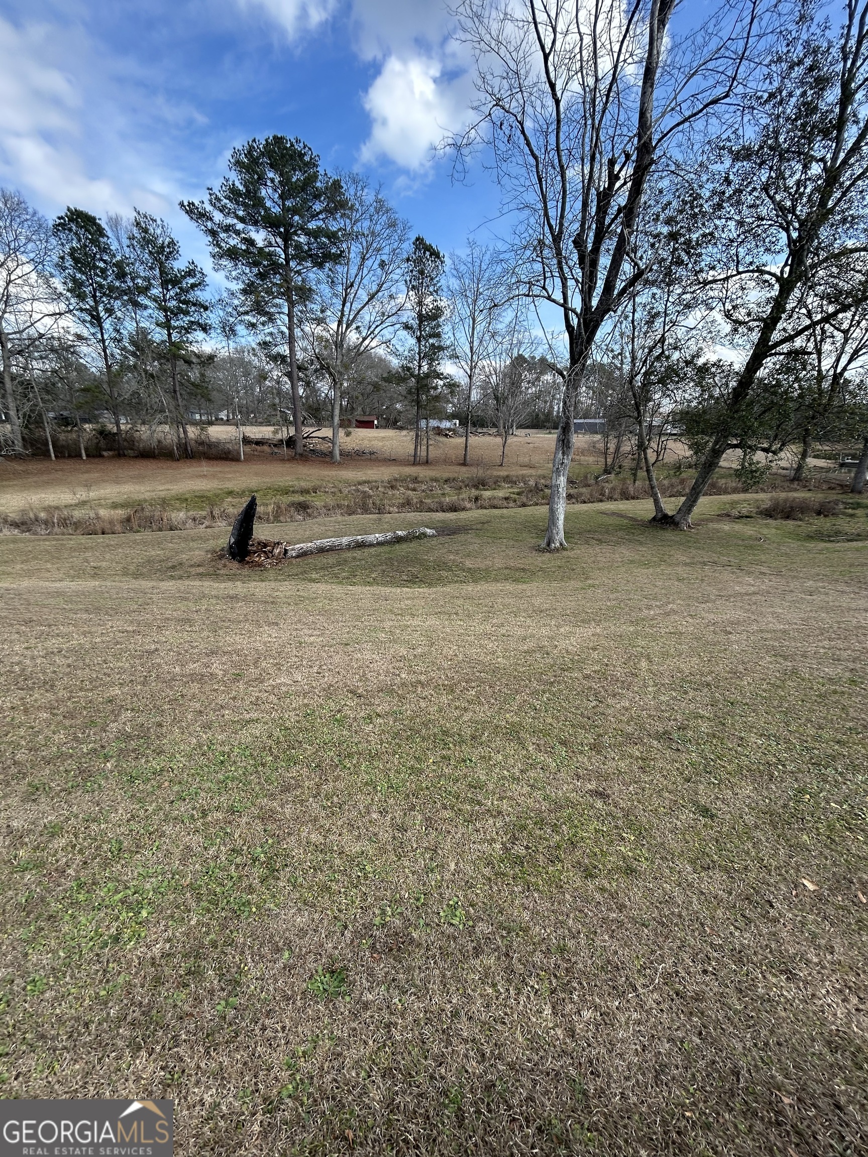206 Ann Murphy Road West Point, GA 31833 - Photo 42 of 57 a view of dirt field with trees