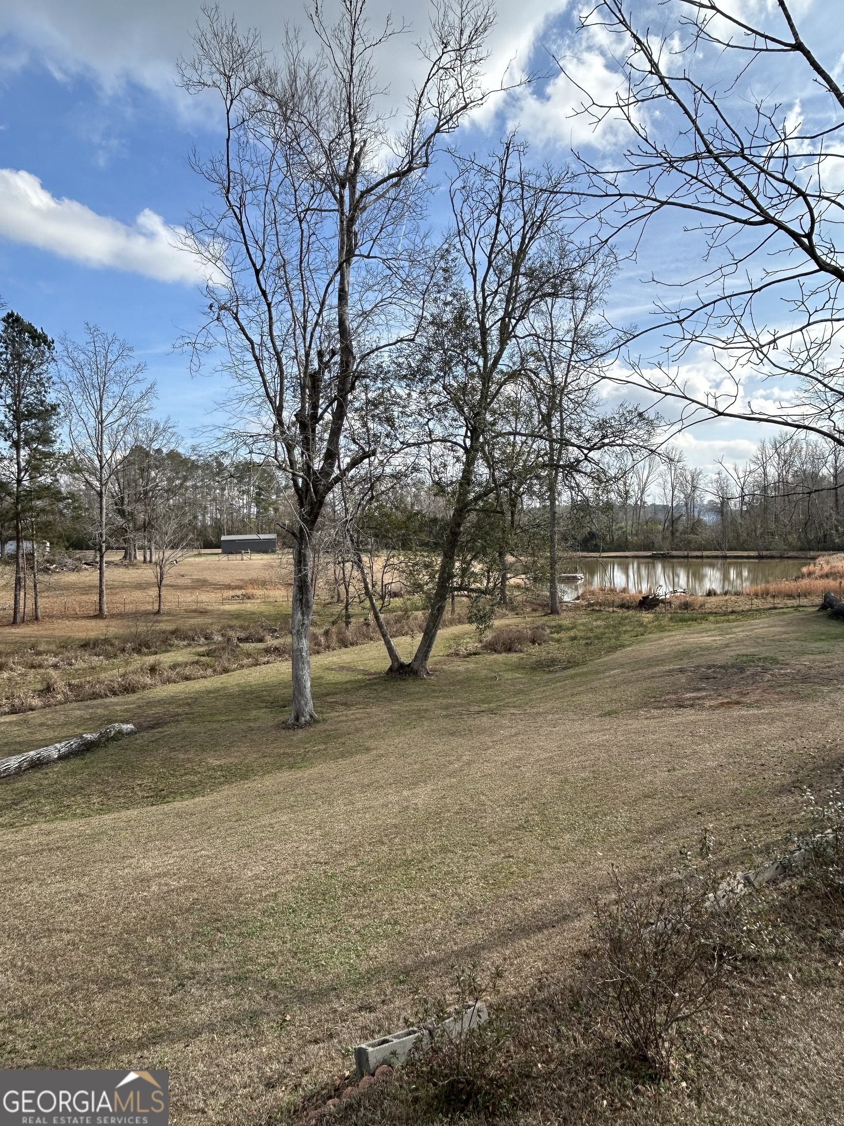 206 Ann Murphy Road West Point, GA 31833 - Photo 46 of 57 a view of a yard with a large tree