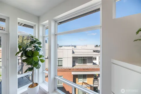 a living room with a potted plant