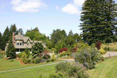 12440-12460 Occidental Road Sebastopol, CA 95472 - Photo 3 of 12 Looking toward Gold gables from the lake shore. Spectacular showcase gardens, created by one of the Bay Area's top garden designers surround the homes, lake, and natural areas.