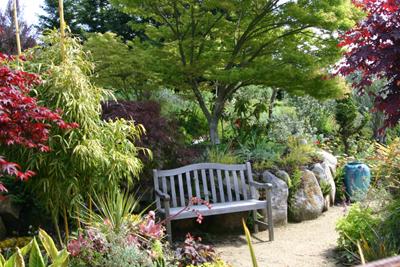 12440-12460 Occidental Road Sebastopol, CA 95472 - Photo 5 of 12 One of the many peaceful garden retreats at Gold Leaf Vineyards.