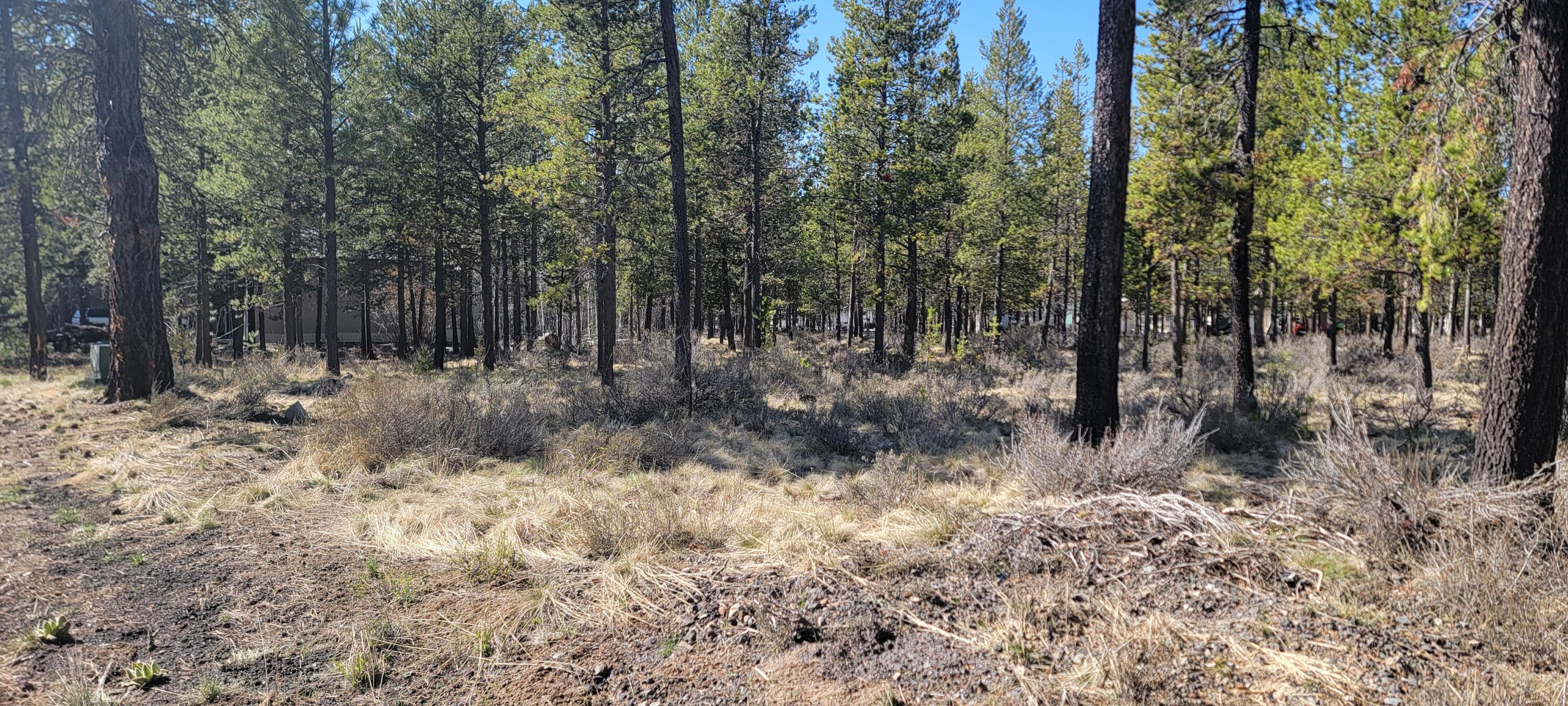 17122 Covina Road Bend, OR 97707 - Photo 5 of 5 20250414_154632