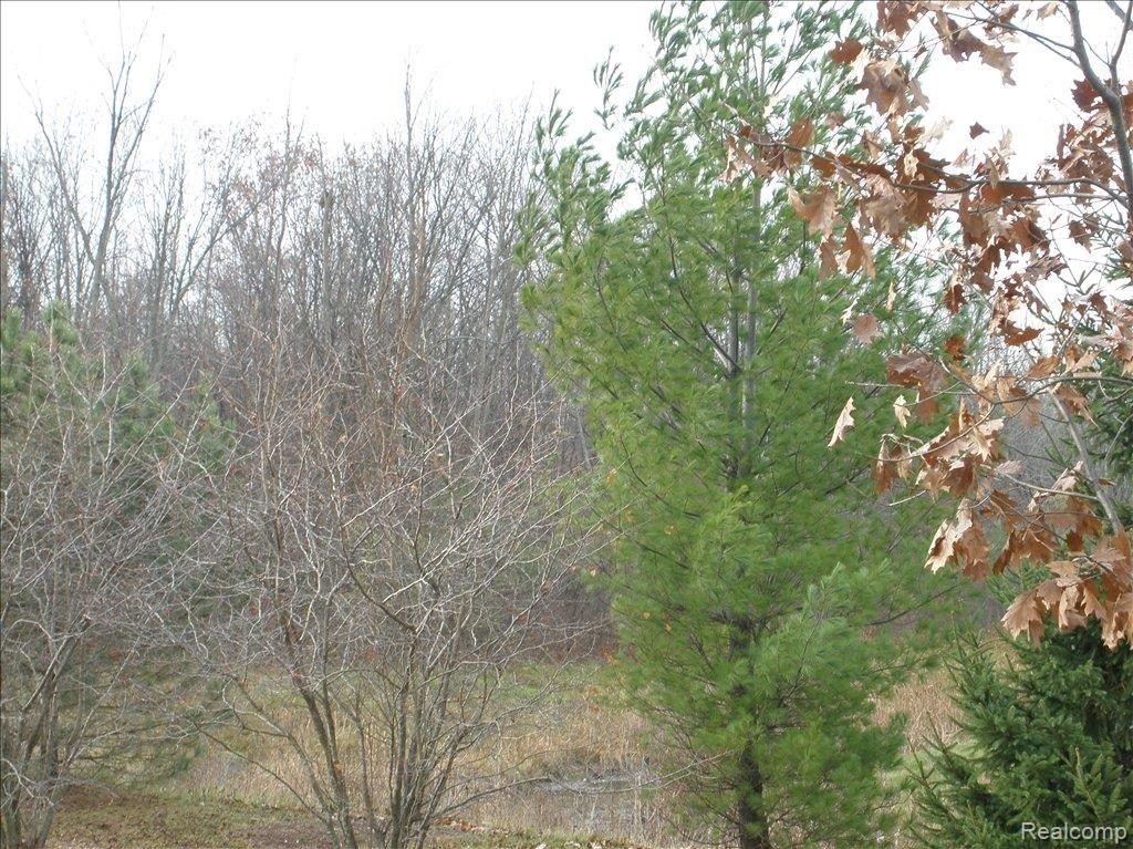 460 Cherry Grove Road Canton, MI 48188 - Photo 2 of 14 Back