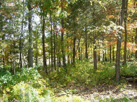 11156 Runyan Lake Road Fenton, MI 48430 - Photo 14 of 28 20292736-13.JPG