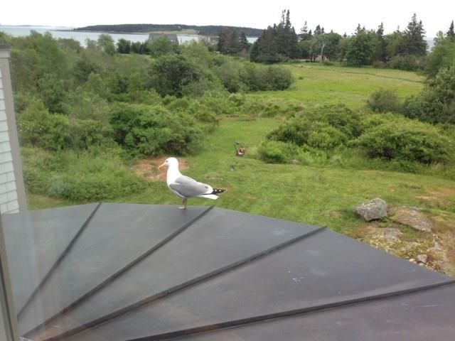 11 Stonehouse Road Tenants Harbor, ME 04860 - Photo 23 of 33 Photo