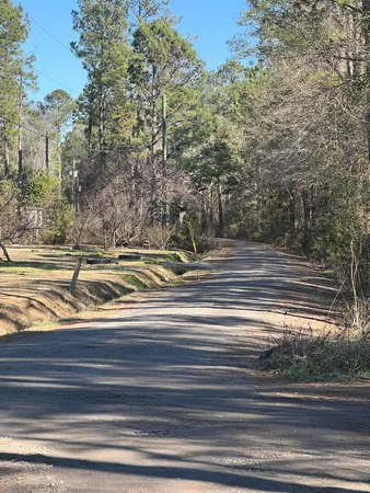 $59,900 | 0 Mims Lane, Georgetown, SC 29440