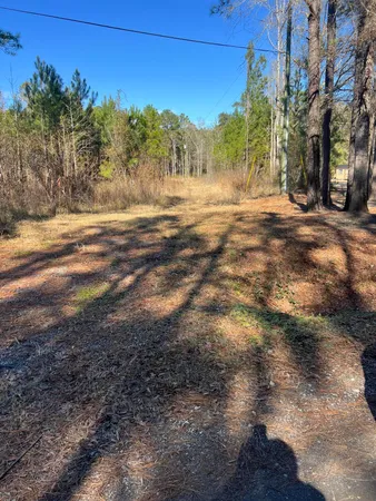 $59,900 | 0 Mims Lane, Georgetown, SC 29440