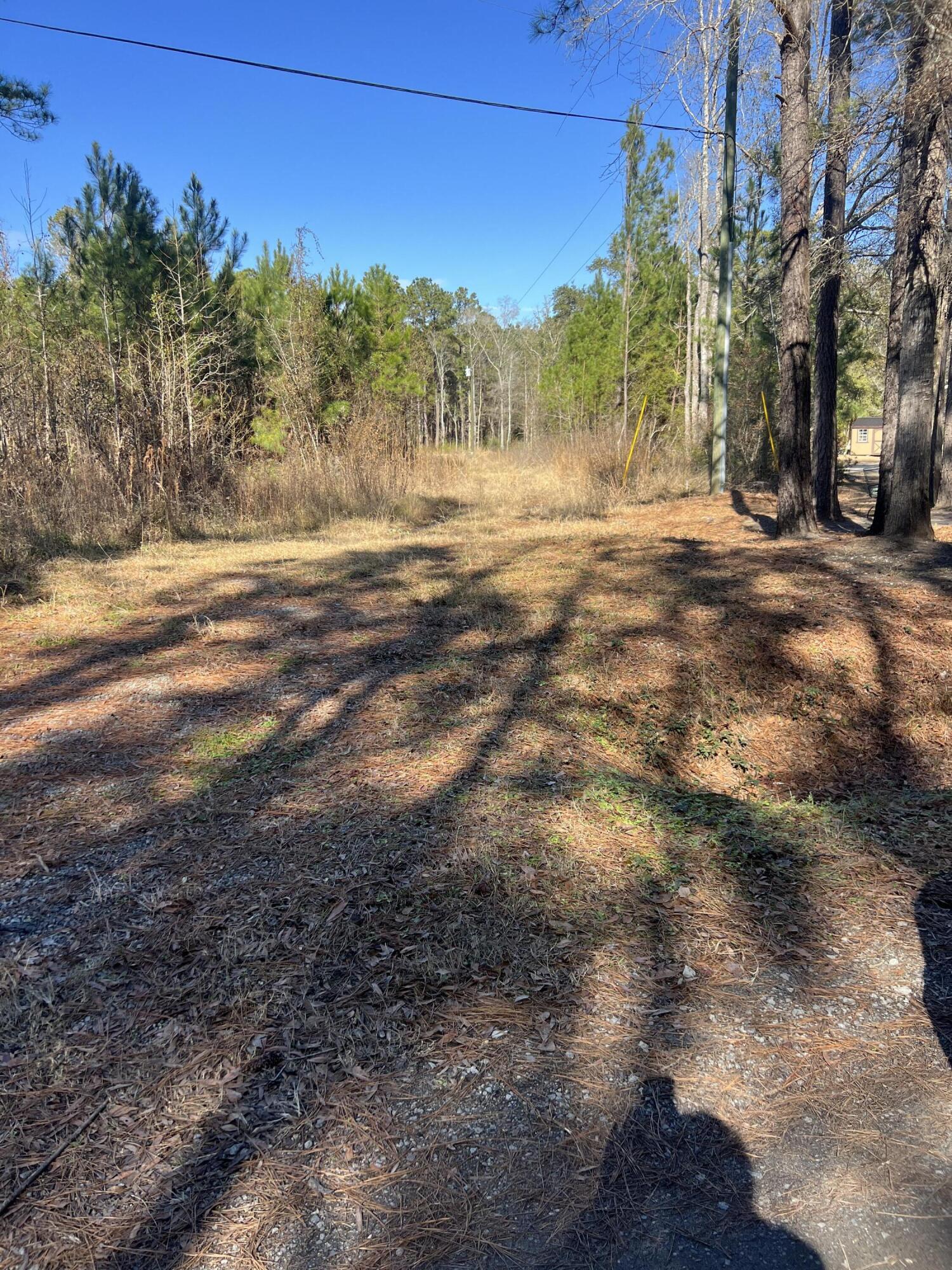 0 Mims Lane Georgetown, SC 29440 - Photo 2 of 9 IMG_1407