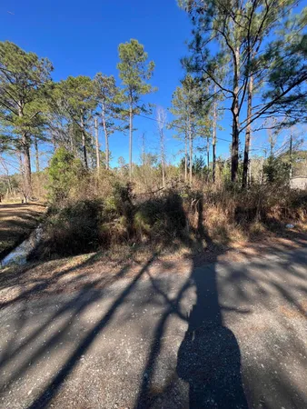 $59,900 | 0 Mims Lane, Georgetown, SC 29440