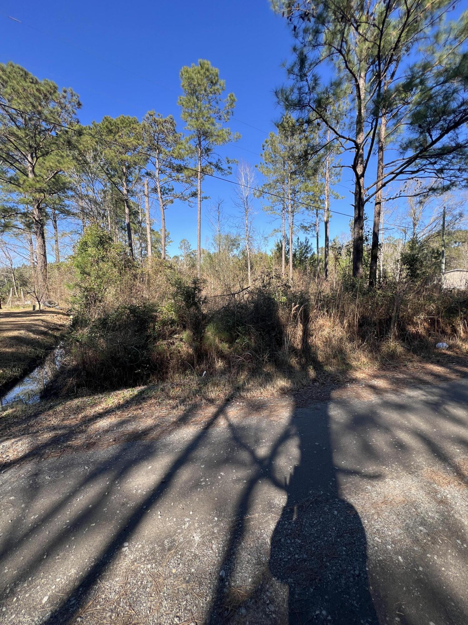 0 Mims Lane Georgetown, SC 29440 - Photo 3 of 9 IMG_1409