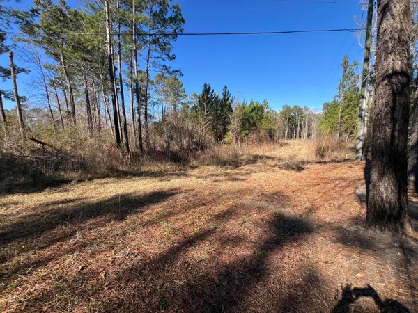 $59,900 | 0 Mims Lane, Georgetown, SC 29440