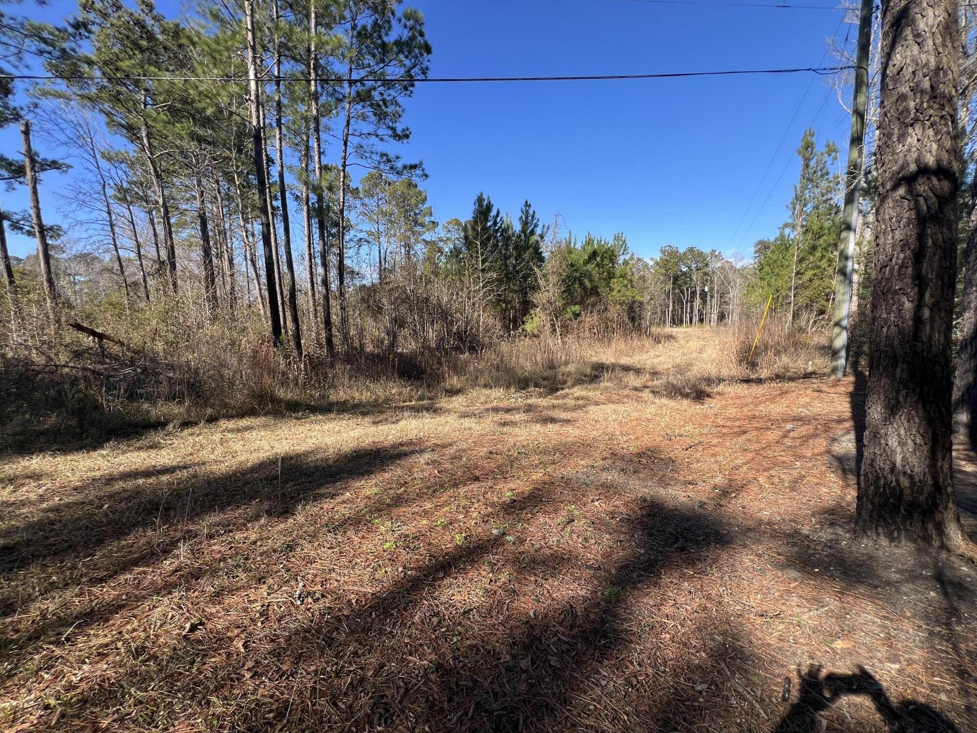 0 Mims Lane Georgetown, SC 29440 - Photo 4 of 9 IMG_1413