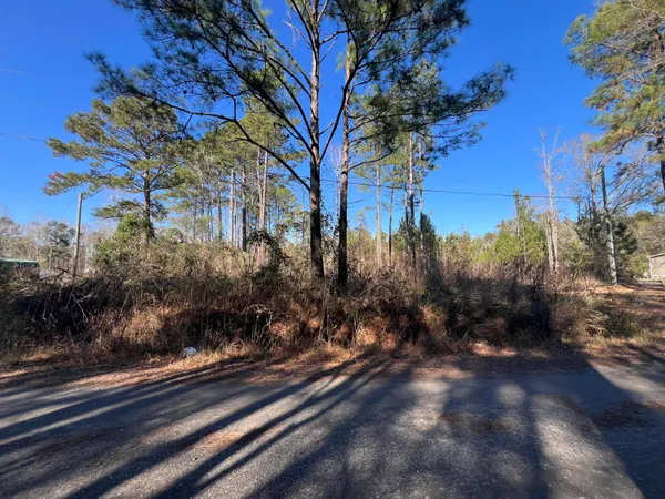 $59,900 | 0 Mims Lane, Georgetown, SC 29440