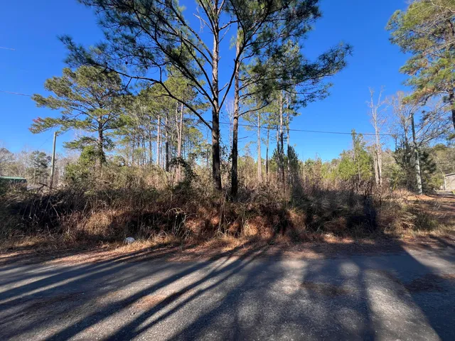$59,900 | 0 Mims Lane, Georgetown, SC 29440