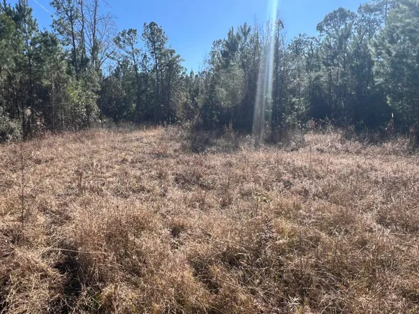 $59,900 | 0 Mims Lane, Georgetown, SC 29440