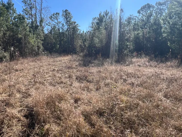 $59,900 | 0 Mims Lane, Georgetown, SC 29440