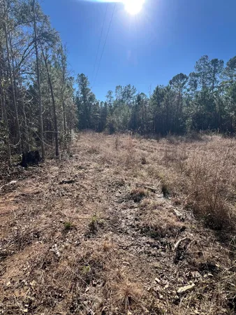 $59,900 | 0 Mims Lane, Georgetown, SC 29440