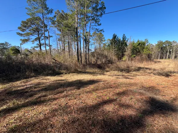 $59,900 | 0 Mims Lane, Georgetown, SC 29440